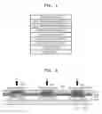Fig. 02 - Phenylcarbazole-based compounds and fluorene-based compounds and organic light emitting device and flat panel display device comprising the same