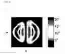 Fig. 05 - Organic light emitting diode display