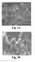 Fig. 03 - Carbonized polyaniline-grafted silicon nanoparticles encapsulated in graphene sheets for li-ion battery anodes