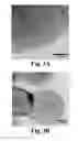 Fig. 04 - Carbonized polyaniline-grafted silicon nanoparticles encapsulated in graphene sheets for li-ion battery anodes