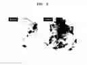 Fig. 08 - Negative active material, lithium battery including the negative active material, and method of preparing the negative active material