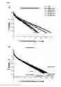 Fig. 04 - Carbon support for fuel cell catalyst and preparation method thereof