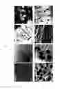 Fig. 02 - Electrolyte membrane for fuel cell comprising polymer blend, and membrane-electrode assembly and fuel cell comprising the same