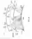 Fig. 06 - Satellite constellation