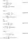 Fig. 74 - Data processing method, precoding method, and communication device