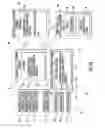 Fig. 02 - Home automation (HA) system including failed sandboxed bridge reloading and related methods