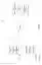 Fig. 02 - Dynamic highlight