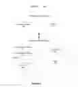 Fig. 03 - Dynamic highlight