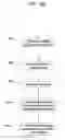 Fig. 18 - DATA PRIVACY