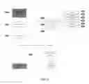 Fig. 07 - System and method for mobile peer authentication and asset control