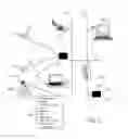 Fig. 02 - Wireless augmented reality communication system