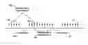 Fig. 01 - Preamble transmission in a wireless device