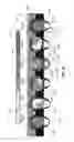 Fig. 49 - Systems and methods for cultivating and distributing aquatic organisms