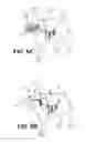 Fig. 08 - PRESSURE-APPLYING ANIMAL GARMENT