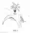 Fig. 02 - PHOTOSENSITIVE CAT TEASER