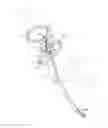 Fig. 01 - Convertible leash and harness system and method