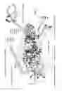 Fig. 07 - Sprayer fluid operation system