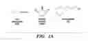 Fig. 02 - Methods of identifying insect-TRPA1 modulators