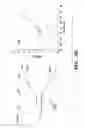 Fig. 16 - Methods of identifying insect-TRPA1 modulators