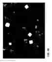 Fig. 07 - Antimicrobial phase-separating glass and glass ceramic articles and laminates