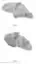 Fig. 02 - PROCESS FOR THE PRODUCTION OF A BAKERY PRODUCT