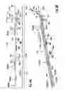 Fig. 07 - Positioning device for positioning poultry legs conveyed in single file in the conveying direction along a conveyor section and the method comprising said positioning for removing the thigh meat from poultry legs