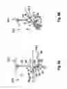 Fig. 09 - Positioning device for positioning poultry legs conveyed in single file in the conveying direction along a conveyor section and the method comprising said positioning for removing the thigh meat from poultry legs