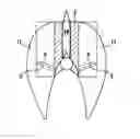 Fig. 01 - Method and device for automatically extracting flesh from fish