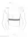 Fig. 07 - Garment with embellished back strap