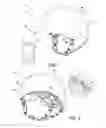 Fig. 02 - Protective helmet and music streaming system