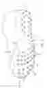 Fig. 03 - Sole system having protruding members