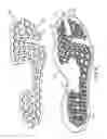 Fig. 05 - Sole system having protruding members