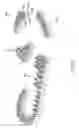 Fig. 20 - Sole system having protruding members