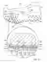 Fig. 30 - Sole system having protruding members