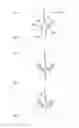 Fig. 12 - Hair styling device