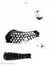Fig. 02 - Forearm clipboard