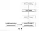 Fig. 02 - Article and method for controlling odors from odoriferous nitrogen-containing compounds