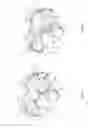 Fig. 07 - Multisize capsule handling with parallel actuation