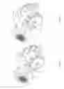 Fig. 09 - Multisize capsule handling with parallel actuation