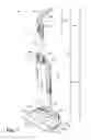 Fig. 02 - Bare floor cleaner