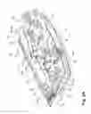 Fig. 08 - Bare floor cleaner