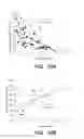 Fig. 08 - Electrical impedance myography