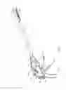 Fig. 02 - Stapling system comprising an instrument assembly including a lockout