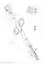 Fig. 03 - Specimen retrieval device