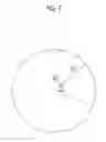 Fig. 08 - Endoscopic surgical device and overtube