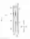 Fig. 15 - Endoscopic surgical device and overtube