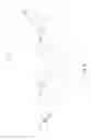 Fig. 10 - Medical device having extenable members