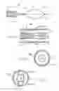 Fig. 09 - Microwave catheter apparatuses, systems, and methods for renal neuromodulation