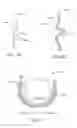 Fig. 07 - Systems, apparatuses and methods for dental appliances with integrally formed features