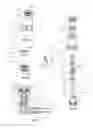 Fig. 07 - Oral cleansing device with energy conservation